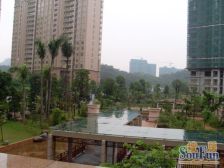 东方华府大面积平层6房4卫正对黄旗山高楼层视野好