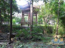 望丛西路82号3室1厅南