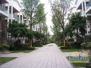 美洲花园一期3室3厅西南
