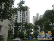 近地铁 电梯房 无抵押 1梯2户,必看好房 位置安