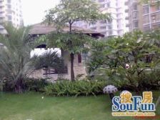 订制装修很漂亮,拎包入住,舒适大两房。