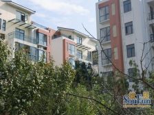 合景格林春天 3室1厅 南