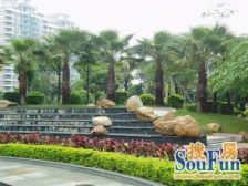 玫瑰园南区 低层南北对流2房 生活配套完善 税少