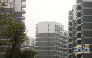 东立国际花城2室1厅北