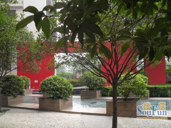 流星花园实景图