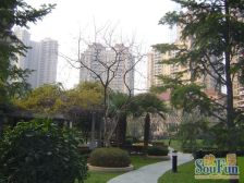 仁恒稀缺复式&#x2B;全南户型&#x2B;小区中心