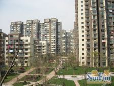 嘉城多层一房,客厅南北通透,的房率高。