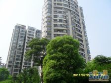 世纪非凡锦城 2室1厅 南