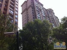 精装修300万,看整个小区绿化,满五年wei一