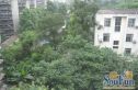 群和街1号院实景图