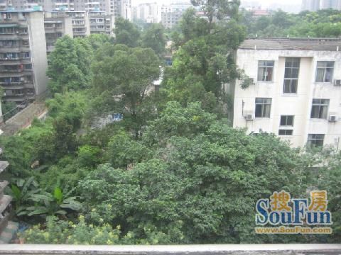 群和街1号院实景图