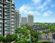 深圳湾豪宅顶复实用450平,空中别墅,核心地段,稀缺资产