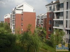 顺驰美兰湖 3室1厅 南 北