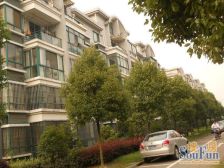 繁荣安居 2室2厅 南