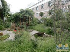 双拼东户 精装带大院子 位置很好 诚心出售 欢迎看房