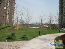 嘉城雅颂湾1室1厅1卫南朝向253.00万元/套出售