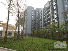 华岩新城 石龙小区三房51.5万