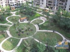 翡翠城四期 4室2厅 南