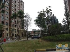 必卖好房+位置好+视野开阔+户型方正