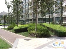 菊园新区 · 新城枫景 · 2室 · 2厅