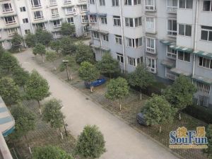 东林小区3室2厅西