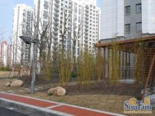 古美罗阳·万源城四期·3室·2厅