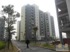 满五税少,近宝龙万达广场,中间楼层,采光好,随时看