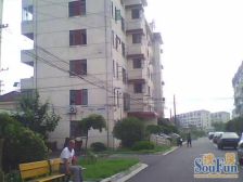 凌桥一村 1室1厅 南