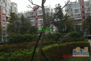 楠博苑五期 3室2厅 东北