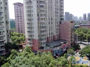 一心花苑2室2厅南