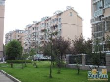 外高桥·和龙新苑·2室·2厅