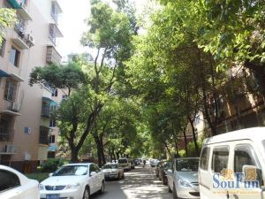 翡翠林居 3室2厅 南