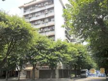 同济路 3室2厅 南 北