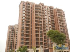 中间楼层 当时开盘时候自留房源 看小区湖 毛坯