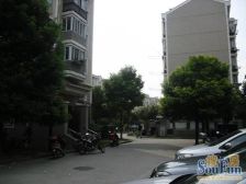 十号线次顶楼大三房 低总价 满二唯*一 看房方便