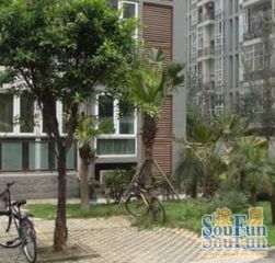 美丰花苑 3室2厅 东