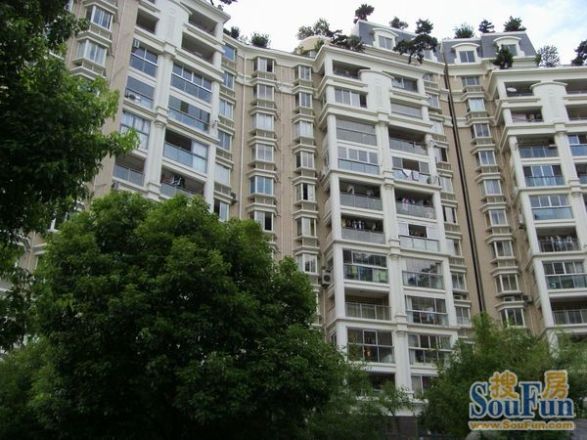 虹桥中园实景图