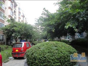 东林小区1室1厅东西
