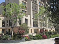 兰湖美域3室南朝向510.00万元/套出售