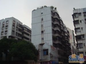 乐安商场花园楼梯低层好走路光线充足