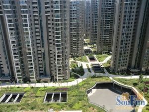 户型周正可北雅坐北朝南大两房视野好业主诚心售