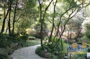 麓山国际塞尔维蒙 3室1厅 东南