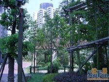 双轨交7/13,位置安静,非顶楼,采光好,南北通!