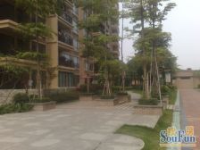 威远岛 滨江花园 164平大4房 满五唯一 随时看房