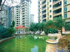 朝阳花地 精装修 两房 拎包入住