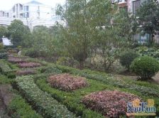 三林·纯翠苑·3室·2厅