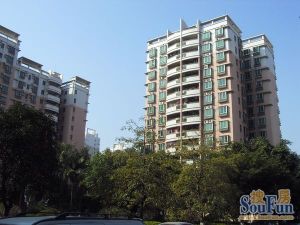 民园两房一厅大阳台电梯房视野开阔看房方便