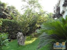 独栋别墅,高得房率和大占地面积,三楼是阁楼