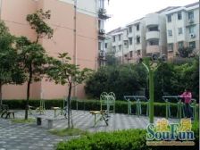 莘庄·报春一村·1室·1厅