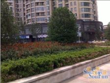 凤凰莱茵苑 1室1厅 南